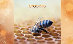 Materac Propolis Shield Materasso