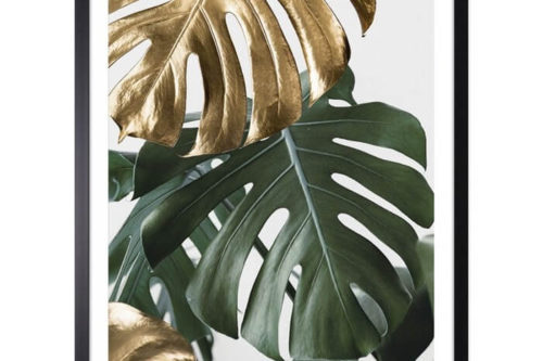 Obraz złota i zielona monstera I