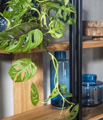 Kolekcja mebli do jadalni Vigo Dekort