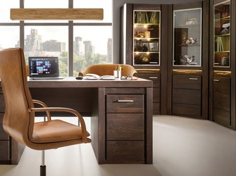 Meble do gabinetu