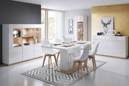 Meble do salonu Futura Lenart