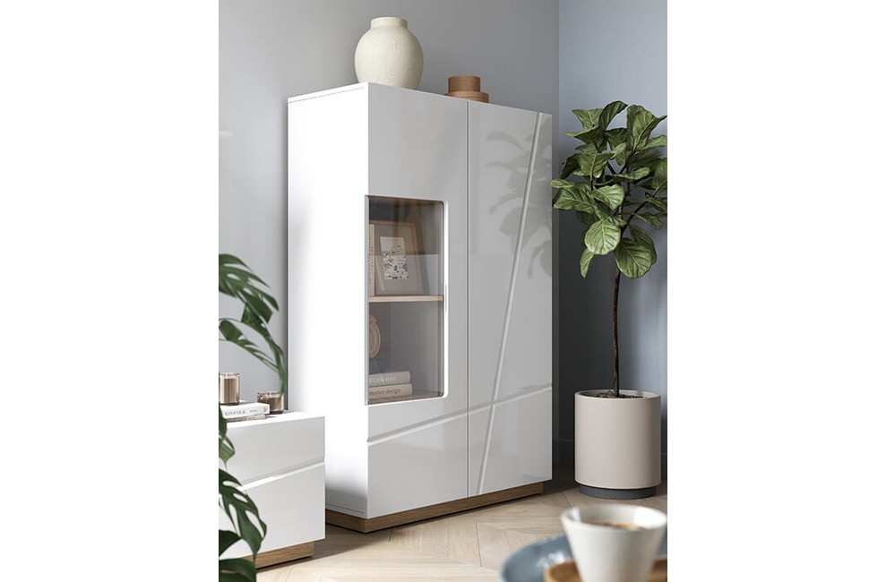 Meble do salonu Futura Lenart