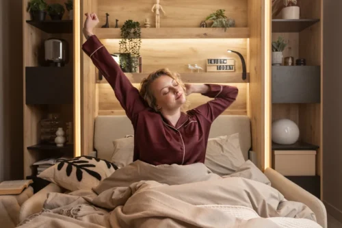 Półkotapczany elektryczny z sofą Bed Concept